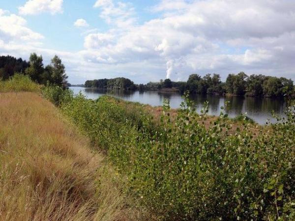 Les Rives de Beaugency