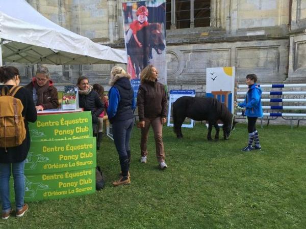 Centre équestre et poney club d'Orléans