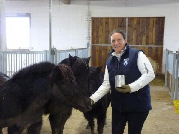 Haras du Val de Loire