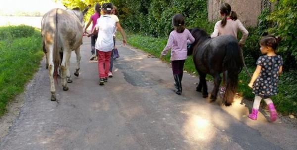 La Ferme Coqalane