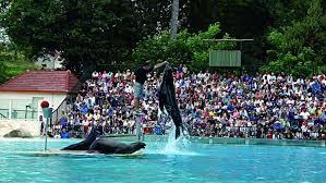 ZooParc De Beauval