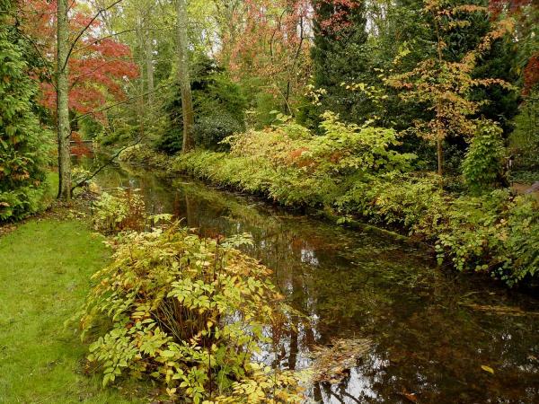 Arboretum Des Prés Des Culands