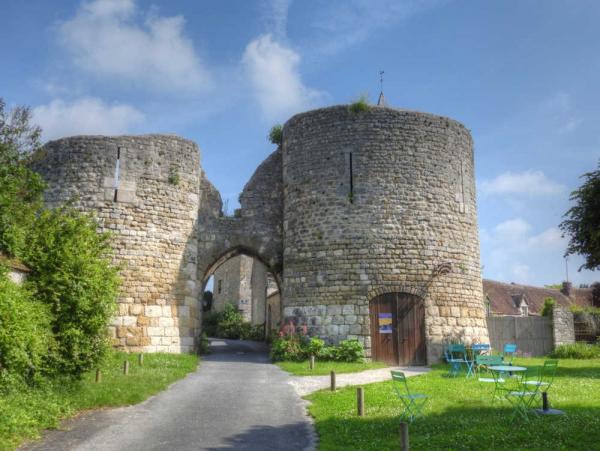 Forteresse médiévale de Yèvre-le-Châtel