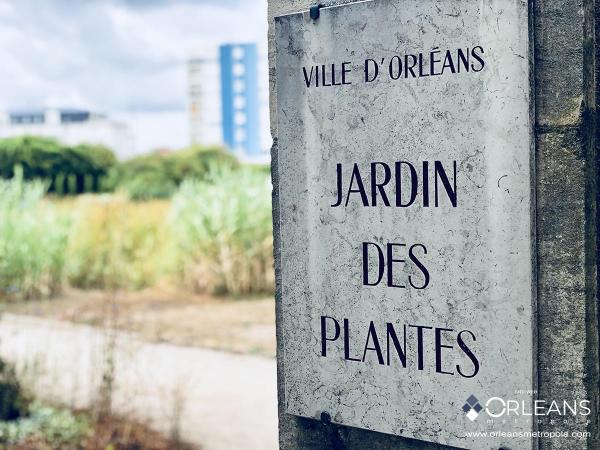 Jardin des plantes