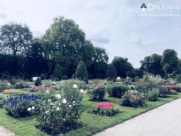 Jardin des plantes