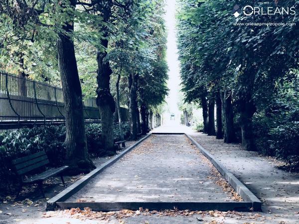 Jardin des plantes