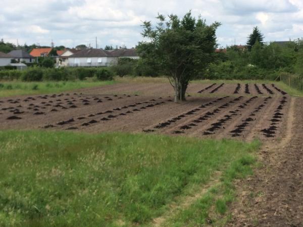 La ferme urbaine 9TER