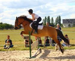 Poney Club des 5 Arpents (PC5A)
