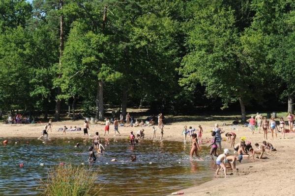Etang des bois