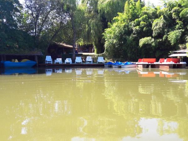 Etang des bois