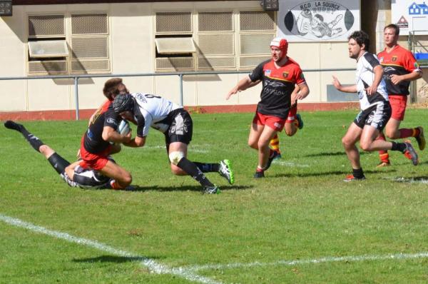 Orléans la Source Rugby