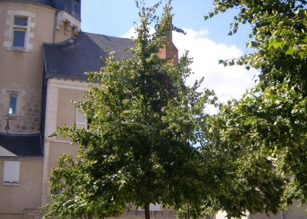 Tour Blanche