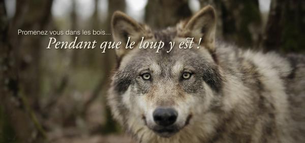 Animal acteur academy