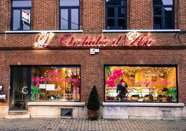 Orchidée d'Asie
